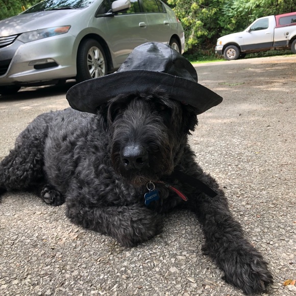 Meet your Posher, Alison - Picture 1 of 1